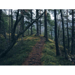 Sleek Concrete Knife fr-FR